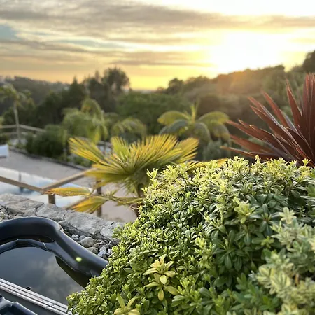 Quinta Da Relva - Soulful House Bed and breakfast 4*