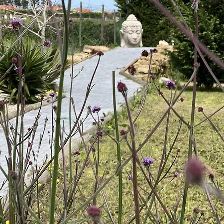 Bed & Breakfast Quinta Da Relva - Soulful House Mafra