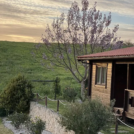 Bed & Breakfast Quinta Da Relva - Soulful House