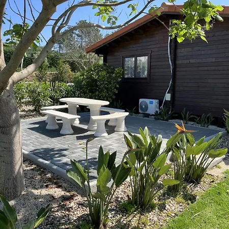 Bed & Breakfast Quinta Da Relva - Soulful House Mafra
