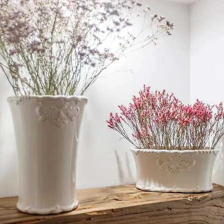 Quinta Da Relva - Soulful House Bed and breakfast 4*