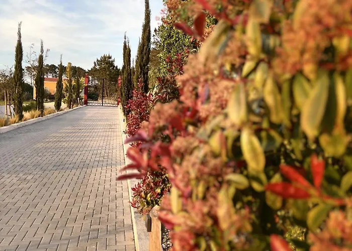 לינה וארוחת בוקר Quinta Da Relva - Soulful House