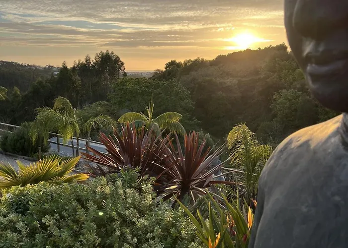 לינה וארוחת בוקר Quinta Da Relva - Soulful House מאפרה