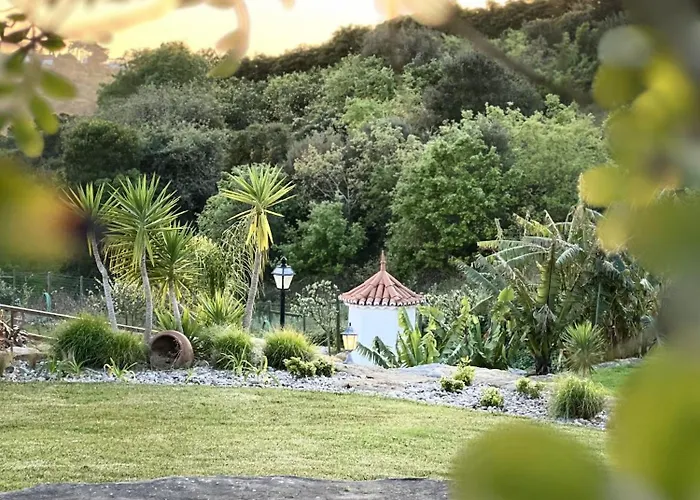 Quinta Da Relva - Soulful House מאפרה