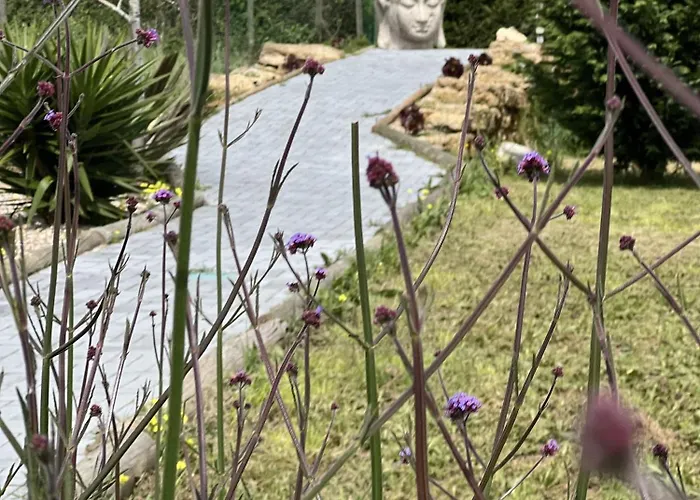 לינה וארוחת בוקר Quinta Da Relva - Soulful House מאפרה